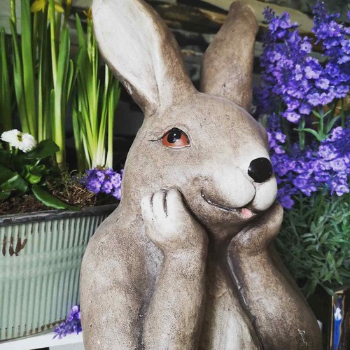 Großer hase rabbit braun - rabbit, 33