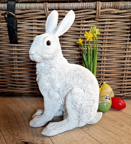 Hase cm groß kaninchen - cm,