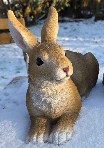 Großer hase rabbit braun - großer,
