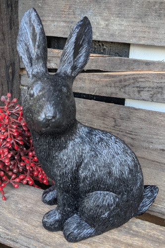 Schwarzer hase - ❤️,
